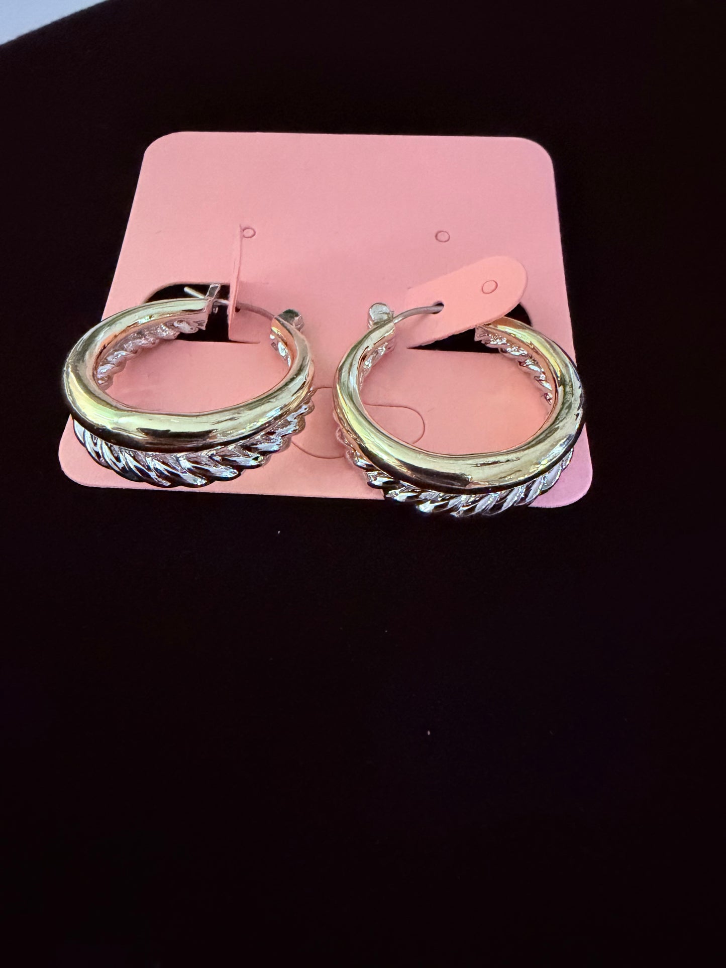 Double Row Twisted Rope Hoop Earrings